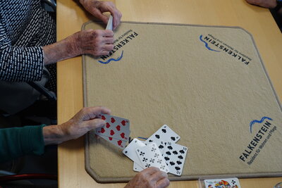 Galerie Aktivit&auml;ten