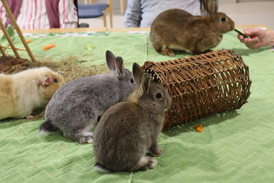 Galerie Aktivit&auml;ten